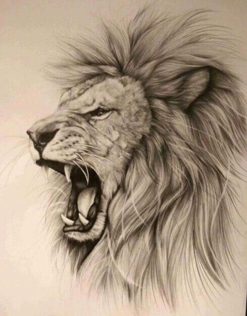 آموزش نقاشی سیاه قلم